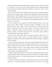 Ekonomikos augimas ir nepastovus ekonominis aktyvumas 17 puslapis