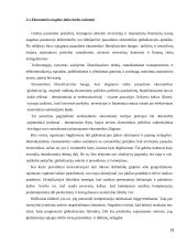 Ekonomikos augimas ir nepastovus ekonominis aktyvumas 19 puslapis