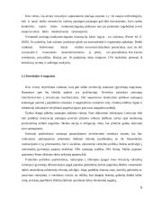 Ekonomikos augimas ir nepastovus ekonominis aktyvumas 6 puslapis