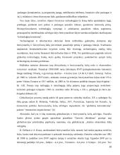 Ekonomikos augimas ir nepastovus ekonominis aktyvumas 10 puslapis