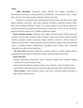 Ekonomikos studijų programos Anglijoje  2 puslapis