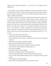 Ekonomikos studijų programos Anglijoje  14 puslapis