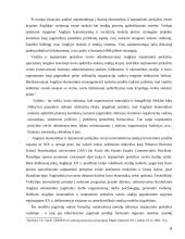 Ekonomikos studijų programos Anglijoje  8 puslapis