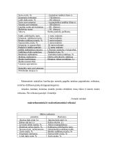 Akcinio portfelio valdymo ir sudarymo veiksniai 19 puslapis