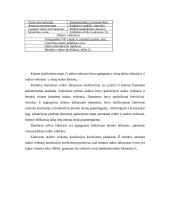 Akcinio portfelio valdymo ir sudarymo veiksniai 20 puslapis