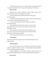 Akcinio portfelio valdymo ir sudarymo veiksniai 3 puslapis