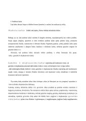 Gamybos kaštų klasifikavimas 3 puslapis