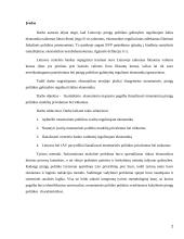 Monetarinių pinigų politikos modelių privalumai bei trūkumai 2 puslapis