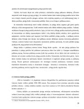 Monetarinių pinigų politikos modelių privalumai bei trūkumai 18 puslapis