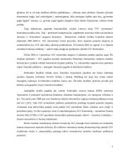 Monetarinių pinigų politikos modelių privalumai bei trūkumai 7 puslapis