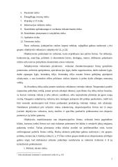 Lietuvos eksporto plėtra 7 puslapis