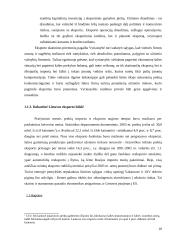 Lietuvos eksporto plėtra 10 puslapis