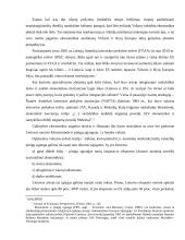 Lietuvos ekonomikos pasikeitimai tapus ES narę 11 puslapis