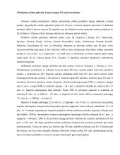 Lietuvos ekonomikos pasikeitimai tapus ES narę 9 puslapis
