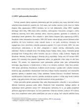 Naftos reikšmė pasaulio ekonomikai 13 puslapis