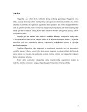 Oligopolinės rinkos efektyvumas 2 puslapis