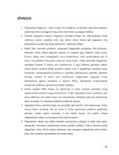 Oligopolinės rinkos efektyvumas 16 puslapis