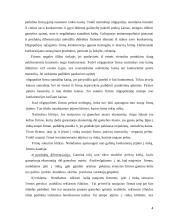 Oligopolinės rinkos efektyvumas 4 puslapis