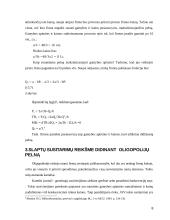 Oligopolinės rinkos efektyvumas 8 puslapis