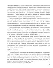 Pinigai ir ekonominis aktyvumass 20 puslapis