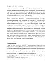 Pinigai ir ekonominis aktyvumass 3 puslapis