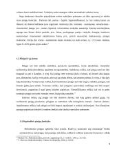 Pinigai ir ekonominis aktyvumass 9 puslapis