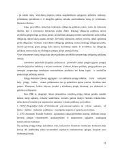 Pinigų rinkos samprata 11 puslapis