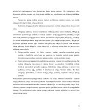 Pinigų rinkos samprata 13 puslapis