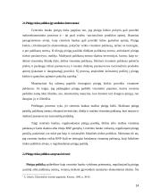 Pinigų rinkos samprata 14 puslapis