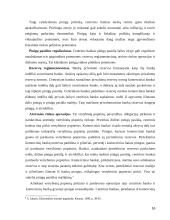 Pinigų rinkos samprata 16 puslapis