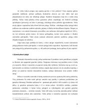 Pinigų rinkos samprata 6 puslapis