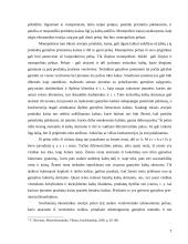 Pinigų rinkos samprata 7 puslapis