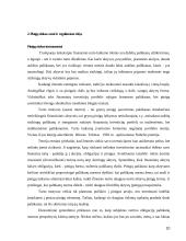 Pinigų rinkos samprata 10 puslapis