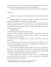 Rinkos esmė ir rūšys	 11 puslapis