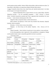 Rinkos esmė ir rūšys	 13 puslapis