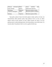 Monopolijos įtaka produkcijos kiekiui ir kainai 13 puslapis