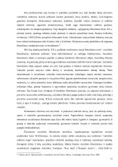 Šiuolaikinis liberalizmas ir jo ištakos 19 puslapis