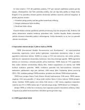 Tarptautinės ekonominės organizacijos referatas 13 puslapis