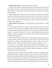 Tarptautinės ekonominės organizacijos referatas 14 puslapis