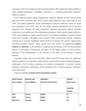 Tarptautinės ekonominės organizacijos referatas 19 puslapis