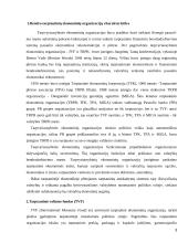 Tarptautinės ekonominės organizacijos referatas 3 puslapis