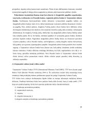 Tarptautinės ekonominės organizacijos referatas 10 puslapis