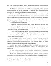 Užsienio prekyba ir muitai 6 puslapis