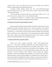 Užsienio prekyba ir muitai 7 puslapis