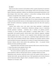 Ekonominis skaičiavimas ir ūkinė veikla 2 puslapis