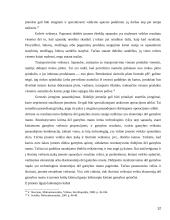 Ekonominis skaičiavimas ir ūkinė veikla 12 puslapis