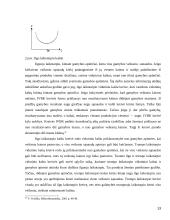 Ekonominis skaičiavimas ir ūkinė veikla 13 puslapis