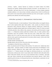 Ekonominis skaičiavimas ir ūkinė veikla 17 puslapis