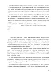 Apyvartinio kapitalas ir jo valdymas  11 puslapis