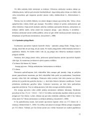 Apyvartinio kapitalas ir jo valdymas  12 puslapis